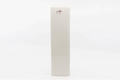 Image of Square Porzellan Vase 9x9x31cm weiss bei JUMBO