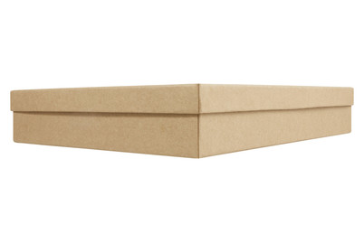 Image of Papp-Dose mit Innenfächer 28.5 x 22.5 x 5 cm bei JUMBO