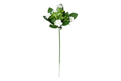 Image of Blumensträusschen 18 cm weiss bei JUMBO