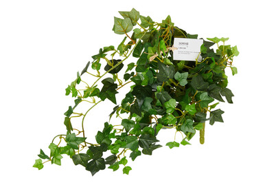 Image of Efeubusch 302 Blätter 60 cm bei JUMBO