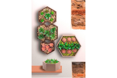 Image of Design-Rahmen Holz sechseck 3 St 35 x 30.5 x 10/30 x 26 x 10/24 x 21 x 10 cm bei JUMBO