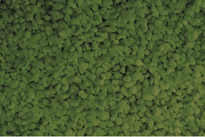 Image of Deco-Kies 500 g dunkelgrün bei JUMBO