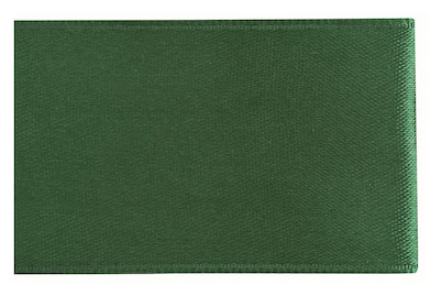 Image of Satin Band 10 mm 10m dunkelgrün bei JUMBO