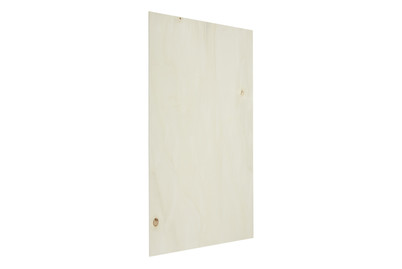 Image of Sperrholz Pappel1200x600x8mm bei JUMBO