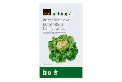 Image of Bio Naturaplan Bataviasalat Laibacher Eis bei JUMBO