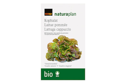 Image of Bio Naturaplan Kopfsalat 'Vierjahreszeiten' bei JUMBO