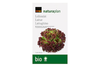 Image of Bio Naturaplan Lollosalat 'Lollo Rossa'