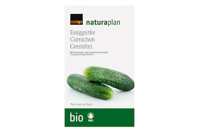Image of Bio Naturaplan Essiggurke 'von Paris' bei JUMBO