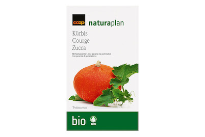 Image of Bio Naturaplan Kürbis Potimarron bei JUMBO