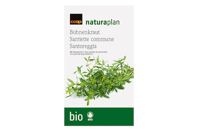 Image of Bio Naturaplan Bohnenkraut einjährig bei JUMBO