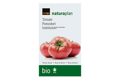 Image of Bio Naturaplan Tomate 'Berner Rosen' zum säen