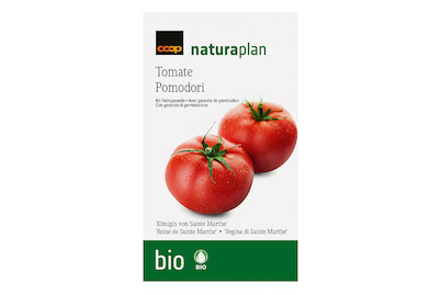 Image of Bio Naturaplan Tomate 'Königin von Sainte Marthe'