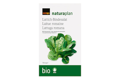 Image of Bio Naturaplan Lattich 'Morges' bei JUMBO