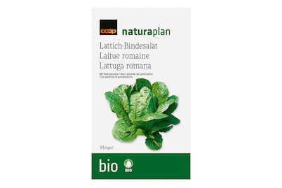 Image of Bio Naturaplan Lattich 'Morges'