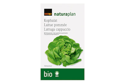 Image of Bio Naturaplan Kopfsalat 'Attraktion'