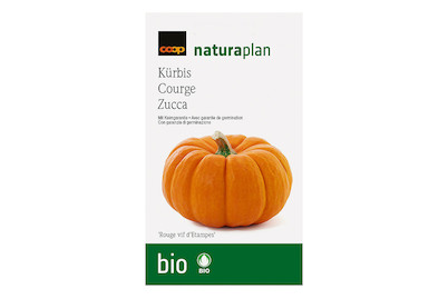 Image of Bio Naturaplan Kürbis Rouge vif d'Etampes bei JUMBO