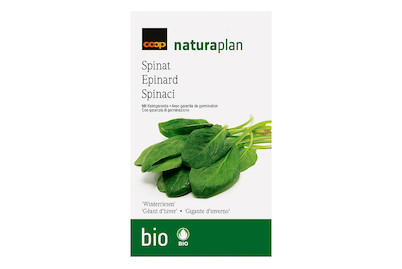 Image of Bio Naturaplan Spinat 'Winterriesen'