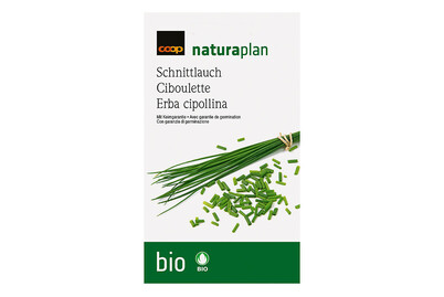 Image of Bio Naturaplan Schnittlauch zum säen