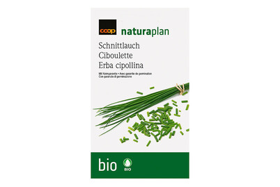 Image of Naturaplan Bio Schnittlauch zum säen bei JUMBO