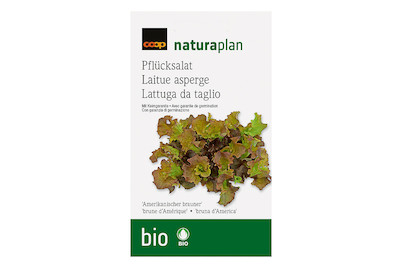 Image of Bio Naturaplan Pflücksalat 'Amer. Brauner'
