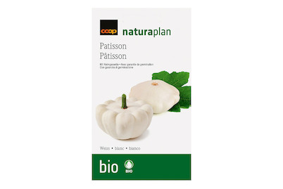 Image of Bio Naturaplan 'Patisson' weiss