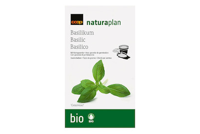 Image of Bio Naturaplan Saatplatte Basilikum bei JUMBO