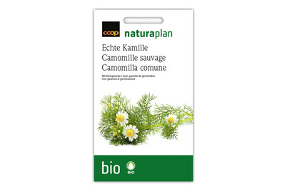 Image of Bio Naturaplan Echte Kamille bei JUMBO