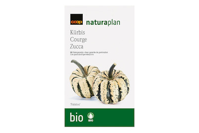 Image of Bio Naturaplan Kürbis Patidou bei JUMBO