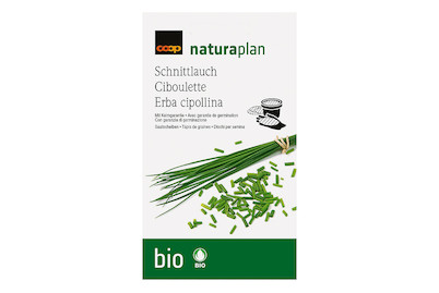 Image of Bio Naturaplan Saatplatte Schnittlauch bei JUMBO