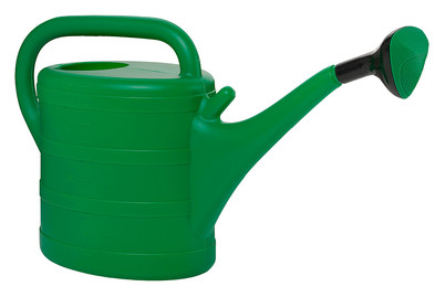 Image of Giesskanne Star 10L grün bei JUMBO