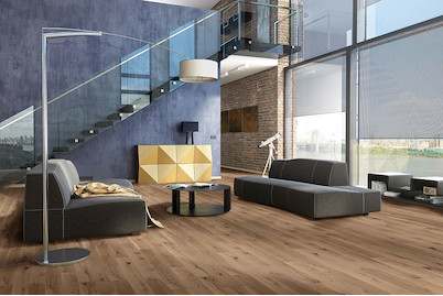 Image of Oecoplan Parkett Eiche Country grau geölt bei JUMBO