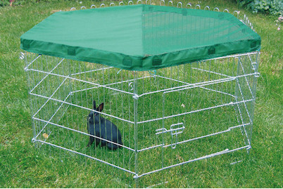 Image of Swisspet Freilaufgehege Bunny Ranch bei JUMBO