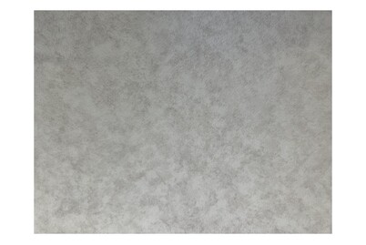 Image of PVC Roma beige 2m