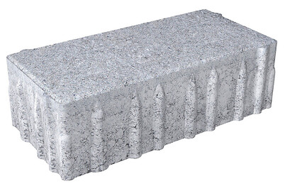 Image of Pflasterstein Einstein® 20 x 10 x 6 cm grau bei JUMBO