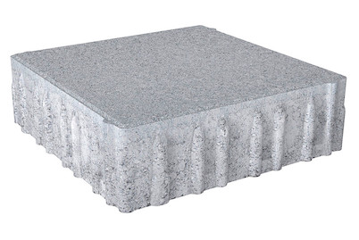 Image of Pflasterstein Einstein®20 20x20x6cm grau bei JUMBO