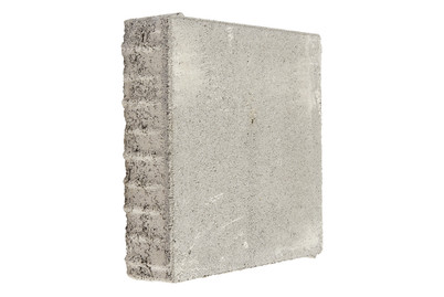 Image of Pflasterstein Einstein 25 x 25 x 6 cm grau bei JUMBO
