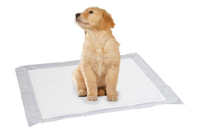 Image of Puppy Pads, 60X60Cm, 15Er Pack