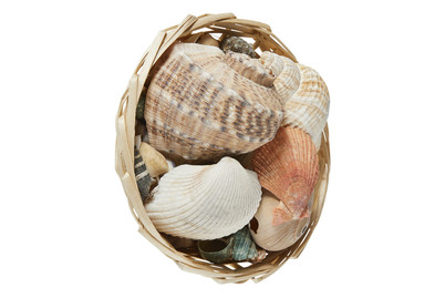 Image of Muschelmix 350g 14cm bei JUMBO