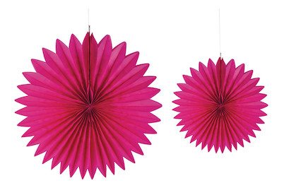 Image of Papier Rosetten, 20+30cm ø, SB-Btl 2Stück bei JUMBO