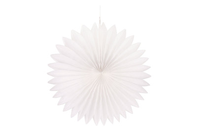 Image of Papier Rosette, 40cm ø bei JUMBO