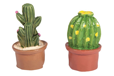 Image of Polyresin Kakteen mit Klebepunkt, 1,5x1,5x3cm, sortiert, PVC-Box 6Stück bei JUMBO