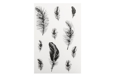 Image of Deko-Abziehmotive Federn, Bogen á 10 Stück, SB-Btl 2Bogen bei JUMBO
