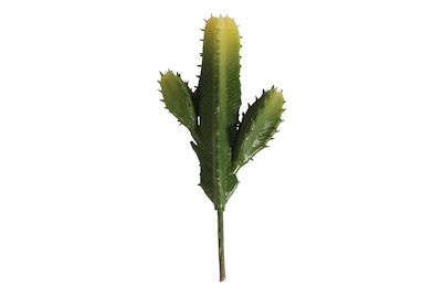 Image of Säulenkaktus, 7,3x15cm bei JUMBO