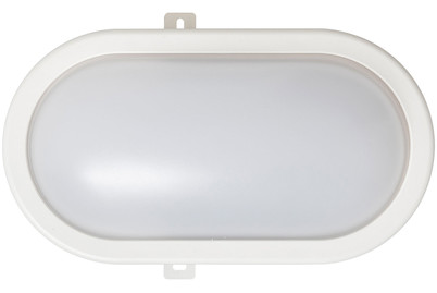 Image of LED Wandleuchte 12W oval bei JUMBO