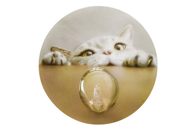 Image of Static Hooks Cat multicolor bei JUMBO