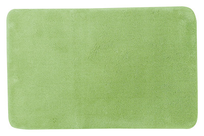 Image of Qualité & Prix Badteppich 50 x 80 cm grün bei JUMBO