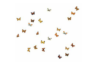 Image of Sticker Schmetterling