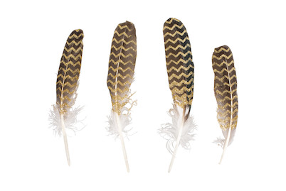 Image of Dekofeder mit Glitterdruck, 17-19cm, SB-Btl 4Stück bei JUMBO