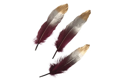 Image of Federn mit silber-gold-Farbverlauf, 15-20cm, SB-Btl 3Stück bei JUMBO