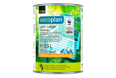 Image of Oecoplan Lack glänzend graphit 0.5L bei JUMBO